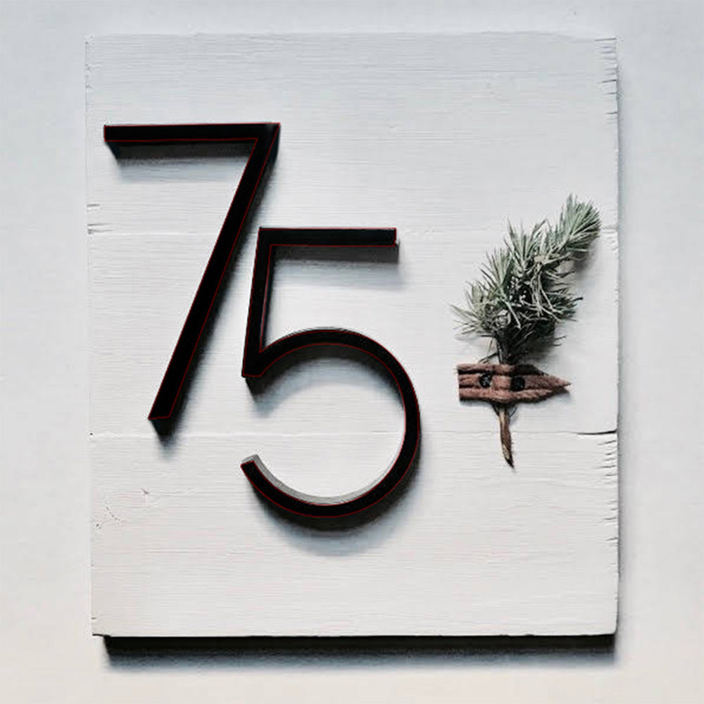Modern Black Stainless Steel House Numbers