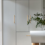 Modern European Style Zinc Alloy Cabinet Pulls