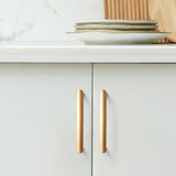 Modern European Style Zinc Alloy Cabinet Pulls