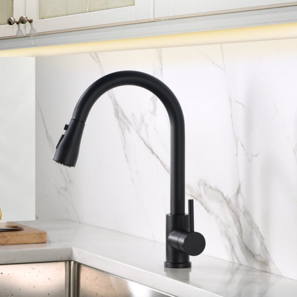 Single Handle Black Kitchen Faucet with Pull Down Sprayer