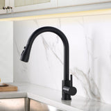 Single Handle Black Kitchen Faucet with Pull Down Sprayer
