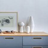 Two-color Zinc Alloy Modern Cabinet Handles