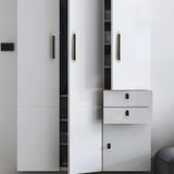 Two-color Zinc Alloy Modern Cabinet Handles