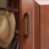 Contemporary Brass Kitchen Cabinet Handles And Knobs