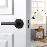 Zinc Alloy Closet Door Lever Handles for Hallway Doors