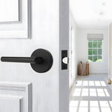 Zinc Alloy Heavy Door Handle Interior Door Levers for Bedroom