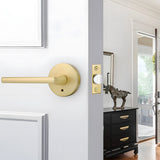 Round Interior Door Levers Handles