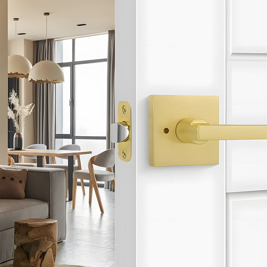 Brushed Gold Decorative Interior Door Lever Door Handle