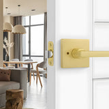 Brushed Gold Decorative Interior Door Lever Door Handle