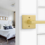 Brushed Gold Dummy Storage Room Door Handle
