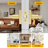 Brushed Gold Passage Hallway Interior Door Lever