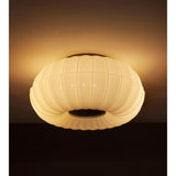 Sirrel Flush Light