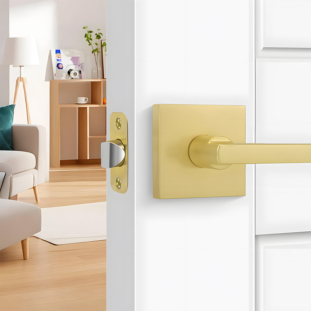 Brushed Gold Decorative Interior Door Lever Door Handle
