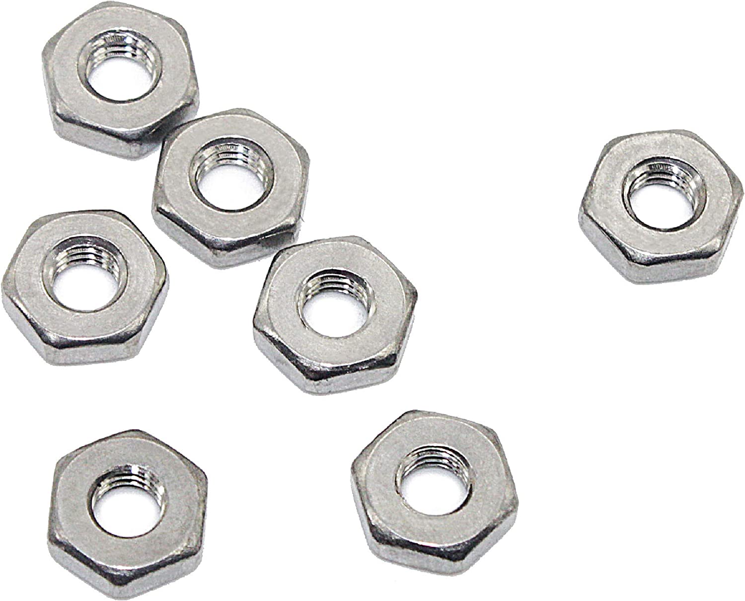 Goldenwarm 0.3in Stianless Hex Screw Nut