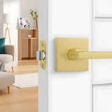 Brushed Gold Passage Hallway Interior Door Lever