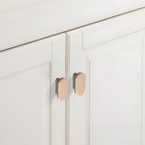 Removable Round Cabinet Wardrobe Door Wooden Handles