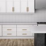 Antique Bronze Cabinet and Drawer Pulls for Kitchen