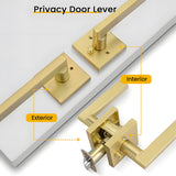 Brushed Gold Decorative Interior Door Lever Door Handle