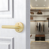 Zinc Alloy Closet Door Lever Handles for Hallway Doors