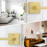 Brushed Gold Decorative Interior Door Lever Door Handle