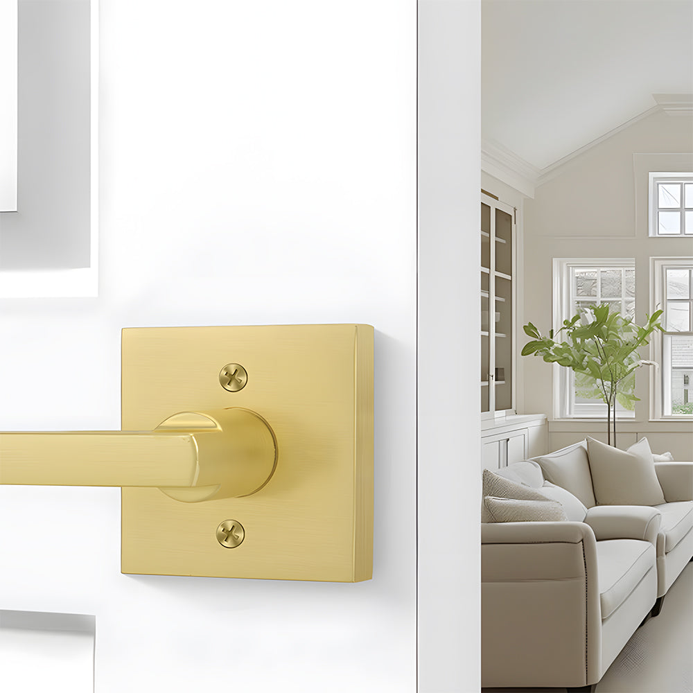 Brushed Gold Dummy Storage Room Door Handle
