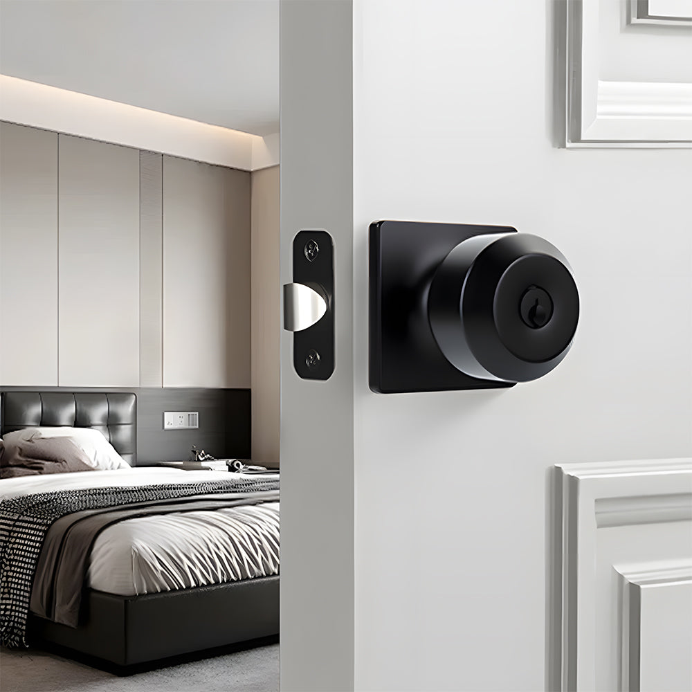 Black Simple Round Entry Front Door Knob