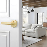 Zinc Alloy Closet Door Lever Handles for Hallway Doors