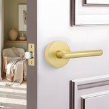 Zinc Alloy Heavy Door Handle Interior Door Levers for Bedroom