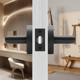 Zinc Alloy Closet Door Lever Handles for Hallway Doors