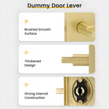 Brushed Gold Dummy Storage Room Door Handle