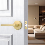 Round Interior Door Levers Handles