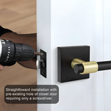 Zinc Alloy Black Gold Interior Door Handle Heavy Duty Door Lever