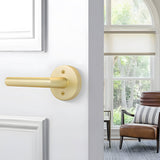 Zinc Alloy Closet Door Lever Handles for Hallway Doors