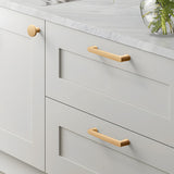 Exquisite Gold Cupboard Wardrobe Hardware Drawer Pull
