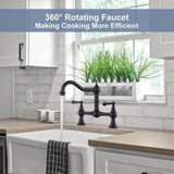 Solid Brass 2 Hole Kitchen Sink With Faucet
