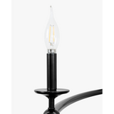 Aurelia Ring Chandelier - Modern LED Ring Chandelier