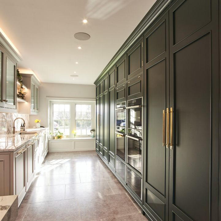 Modern Gold Brass Cabinet BackplateHandles