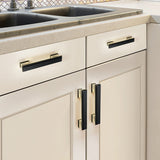 Modern Black Gold  Wardrobe Cabinet Pulls