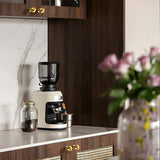 Retro Shell Solid Brass Wardrobe Drawer Cup Pulls