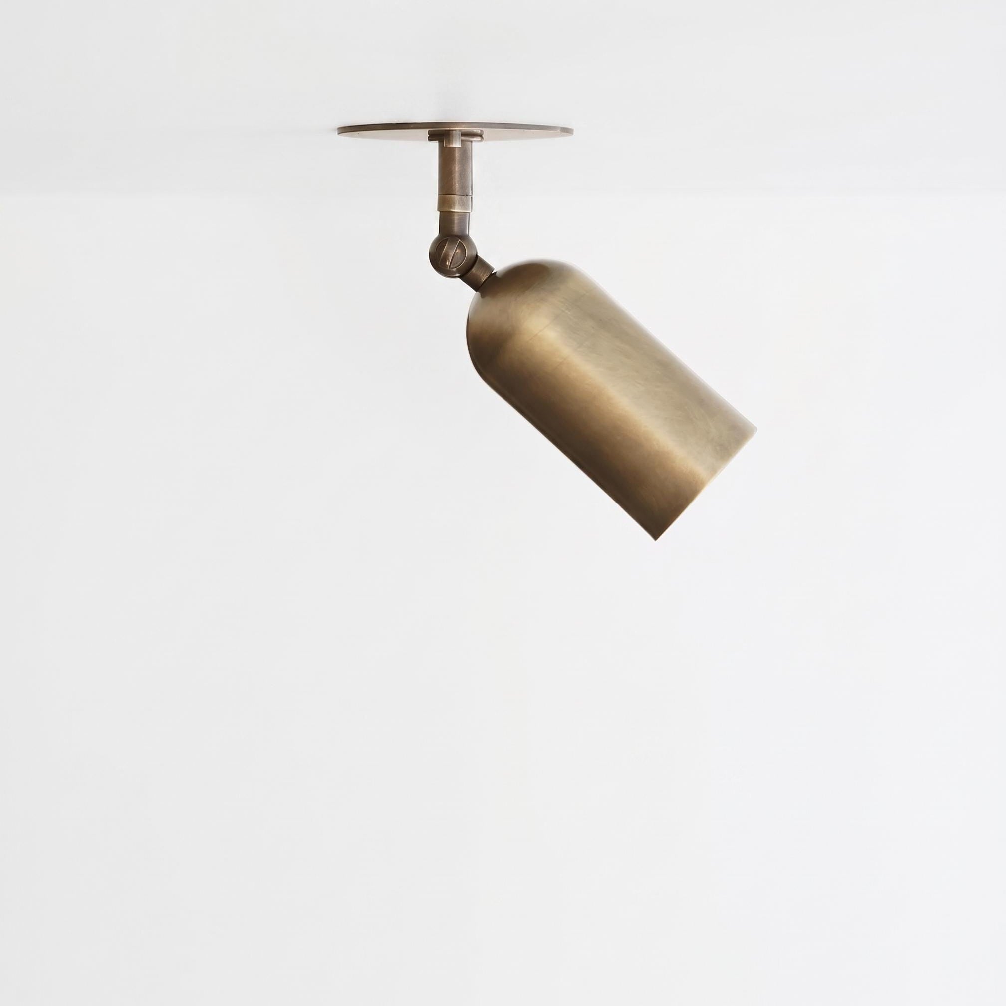 Adjustable Brass Ceiling Spotlight with Curved Shade