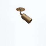 Adjustable Brass Ceiling Spotlight with Curved Shade