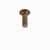 Adjustable Brass Cylinder Ceiling Spotlight, 5-Inch Shade