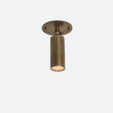 Adjustable Brass Cylinder Ceiling Spotlight, 5-Inch Shade