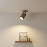 Adjustable Brass Cylinder Ceiling Spotlight
