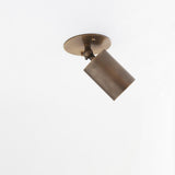 Adjustable Brass Cylinder Ceiling Spotlight