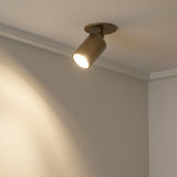 Adjustable Brass Cylinder Ceiling Spotlight