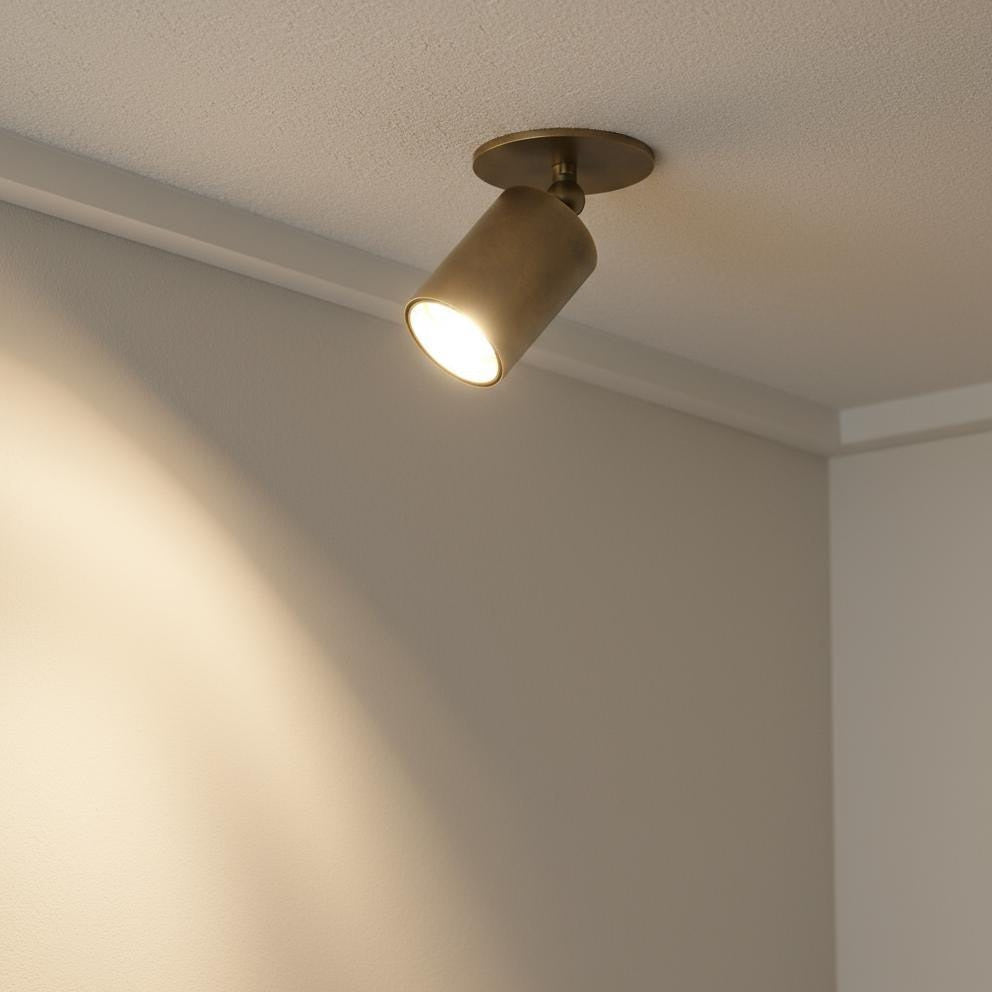 Adjustable Brass Cylinder Ceiling Spotlight