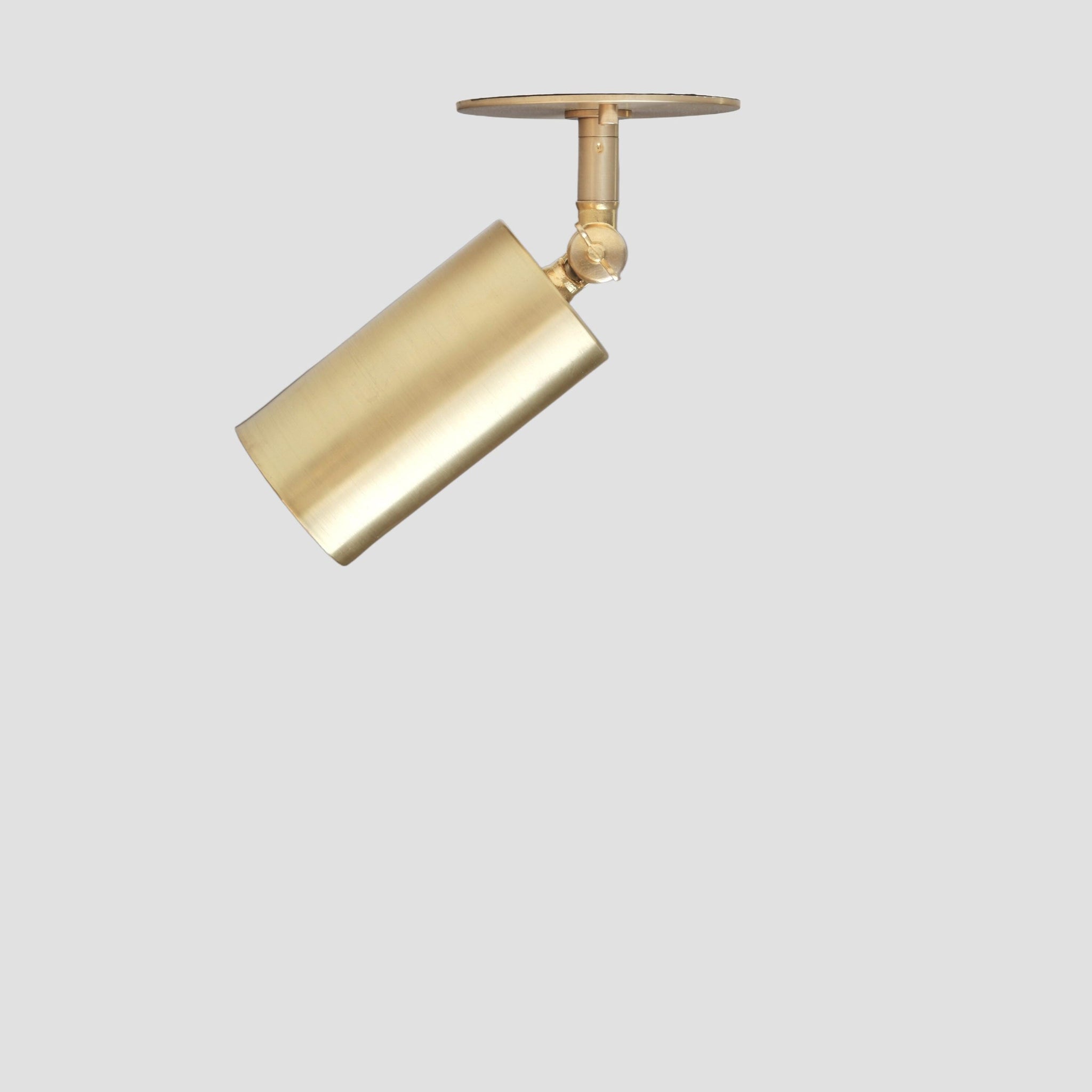 Adjustable Brass Cylinder Ceiling Spotlight