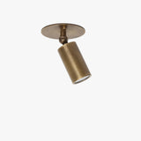 Adjustable Brass Cylinder Ceiling Spotlight with Frosted Glass Lens