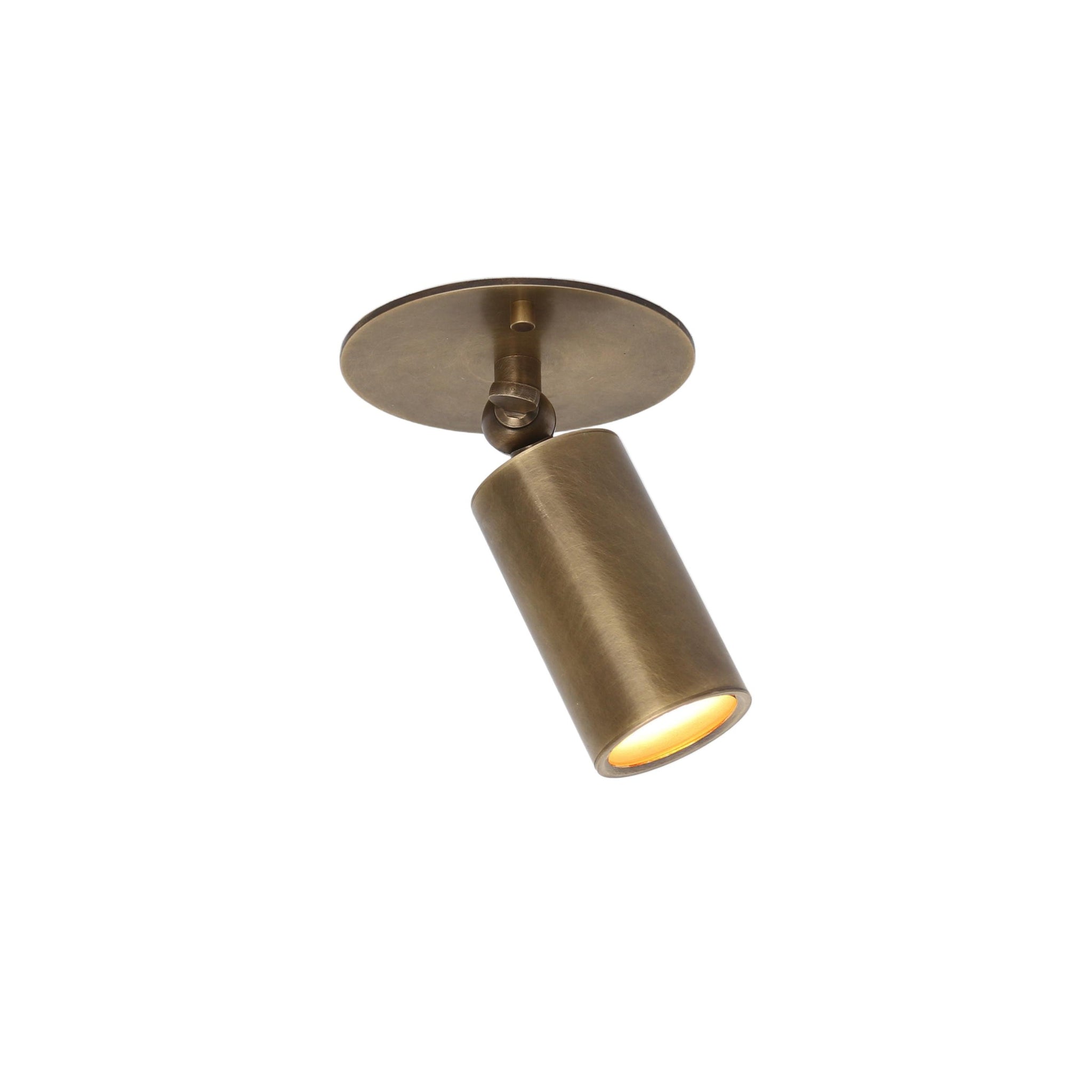Adjustable Brass Cylinder Ceiling Spotlight with Frosted Glass Lens